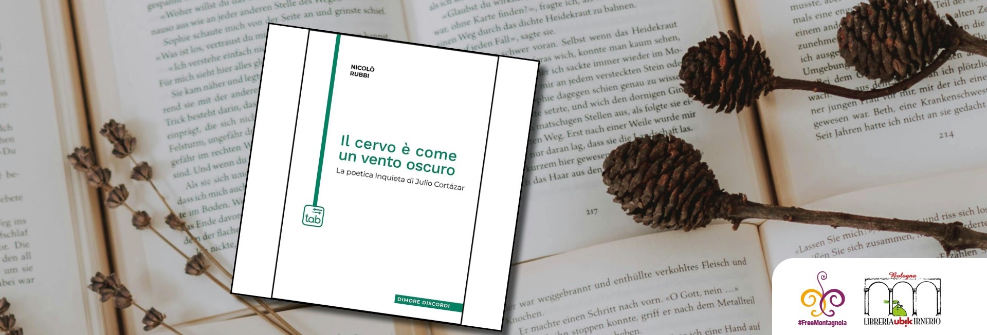 Nicolò Rubbi – Il cervo è come un vento oscuro.